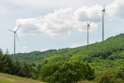 Zwei Windräder sollen im Wald errichtet werden. Das planen beide Projektierer.