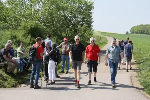 Wandergruppen im vergangenen Jahr auf der Strecke zwischen Neunkirchen und Fockenberg-Limbach.