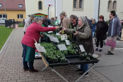 Viele Menschen kamen zum Böhler Pflanzenmarkt