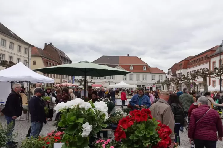 „Seit es diesen Markt hier gibt, stehen wir hier“, erläutert Manuela Koehler von der Gärtnerei Koehler. In Blieskastel ist der G