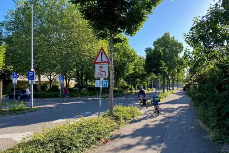 Allee hopp: Der Stadtrat befürwortet einen Zuwachs an Straßenbäumen, damit die Stadt ergrünt wie hier in der Fritz-Ober-Straße.