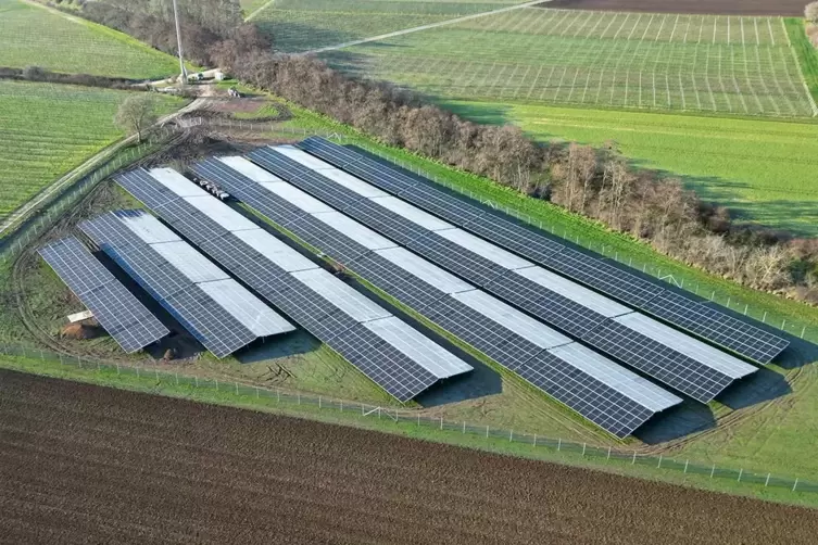 Im Juni soll in Mühlheim dieser Solarpark in Betrieb genommen werden. Er soll 1,4 Millionen Kilowattstunden Strom erzeugen. 