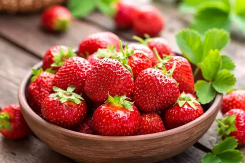 Beliebt und gesund: Erdbeeren kommen jetzt in der Pfalz wieder frisch vom Feld. 