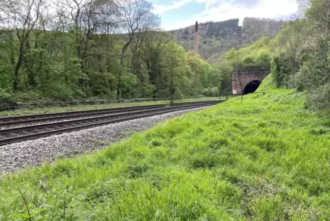 Ungehinderter Zugang: Vom Weg bis auf die Gleise sind es nur ein paar Meter über den Grünstreifen. Der Bahntunnel ist gleich in 
