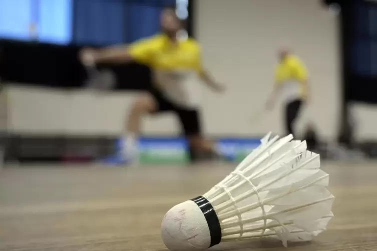 Es sind wieder mehr jugendliche Badminton-Spieler zum FK Mardi gestoßen. 