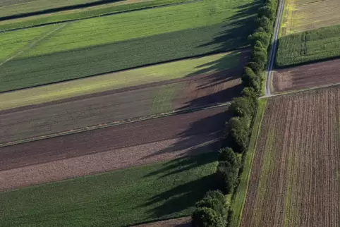 Um die Bewahrung landwirtschaftlicher Flächen geht es einer Gruppe von Bobenheim-Roxheimern, die sich zu einer Bürgerinitiative 