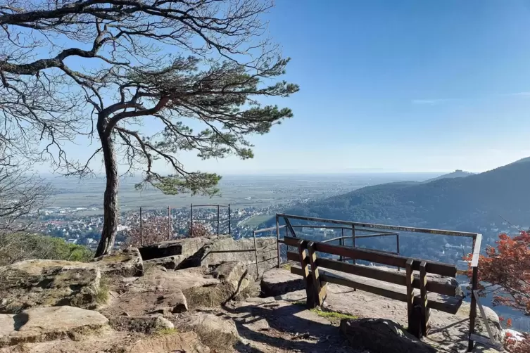 Die schönste Bank der Pfalz steht 409 Meter hoch auf dem Bergstein entlang des Wegs Richtung Weinbiet, schreibt Helga Ziegenfuß 