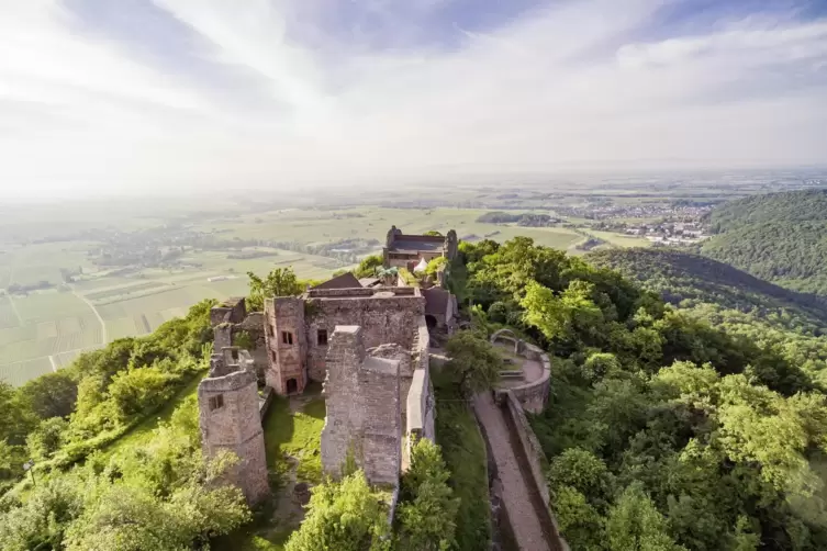 Die Madenburg wird es bald auch als 3-D-Modell aus Bronze zum Erfühlen geben. 