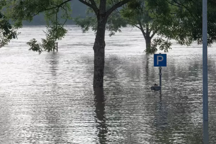 Hochwasser am Parkplatz Unkenfunk in Germersheim im Juli 2021. 