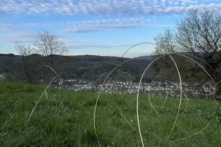 Zeichnung im Gras: Detail von Br&auml;ndlis Arbeit. 