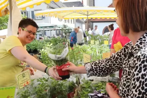 Bei Susan Zyliegan ist Oregano und Ananassalbei gefragt. 