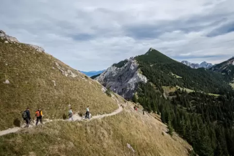 Solche Wanderrouten sind für einen RHEINPFALZ-Leser aus dem Donnersbergkreis undenkbar – er leidet massiv unter Höhenangst, wird