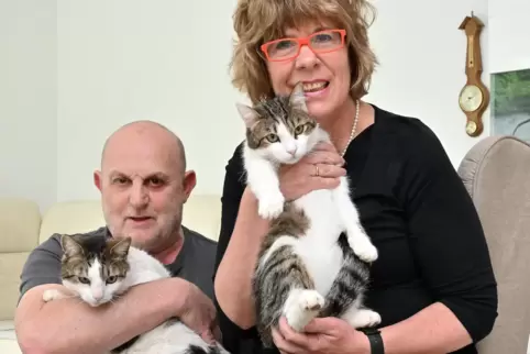 Wiedervereint: Norbert und Deborah Würtz mit den Katern Micha (links) und Oskar. 