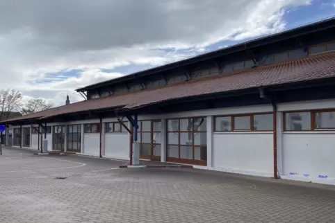 Die Dirmsteiner Sporthalle an der Schule ist zum Problem geworden.