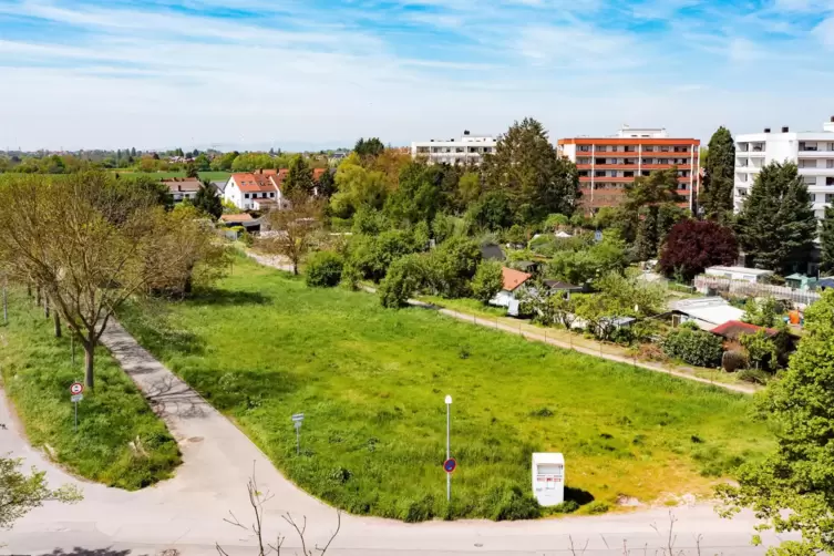 Standort f&uuml;r Wohncontainer: Gr&uuml;nfl&auml;che an der Alten Rheinh&auml;user Stra&szlig;e, im Hintergrund der Bolzplatz. 