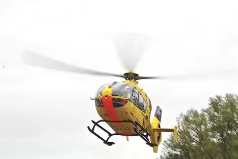Der schwer verletzte Waldarbeiter wurde per Hubschrauber ins Krankenhaus gebracht.