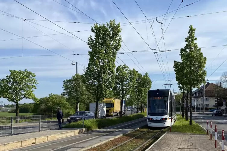 Der „Buga-Express“ der Straßenbahn-Sonderlinie BS fährt vom Mannheimer Hbf bis zum Spinelli-Park.