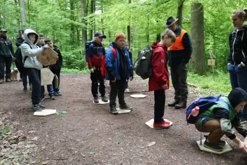 Die Drittklässler der Thomas-Mann-Grundschule in Ixheim absolvieren das Siebenschläferspiel. Mit Hilfe von Holzplatten müssen si
