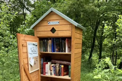 Die Little Free Library, die kleine Umsonst-Bücherei, steht bei Kreimbach-Kaulbach mitten im Grünen – ideal um mal vorbeizuschau