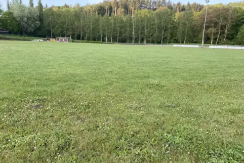 Ist demnächst Geschichte: der Naturrasen im Stadion Obermühle. In knapp drei Monaten soll das künstliche Spielfeld fertiggestell Ist demnächst Geschichte: der Naturrasen im Stadion Obermühle. In knapp drei Monaten soll das künstliche Spielfeld fertiggestell