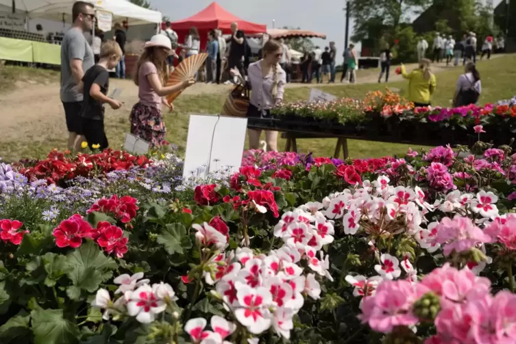 Der Blumen- und Kräutermarkt hat beim Burgfrühling bereits Tradition. 