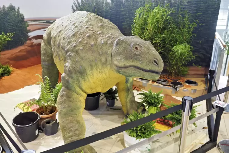Rund 20 Millionen Jahre vor den ältesten Dinosaurier stapfte der Pareiasaurus durch die Südpfalz. Das Modell des Pflanzenfresser