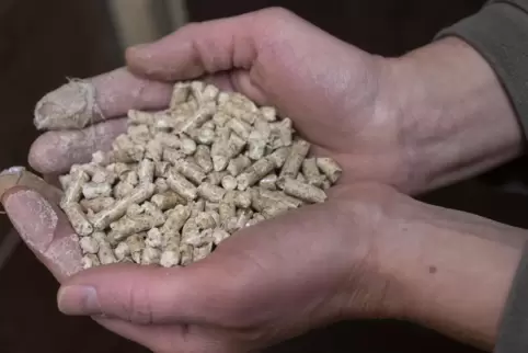 Auch Menschen, die 2022 Holzpellets sehr teuer eingekauft haben, können die Härtefall-Heizhilfe beantragen. 