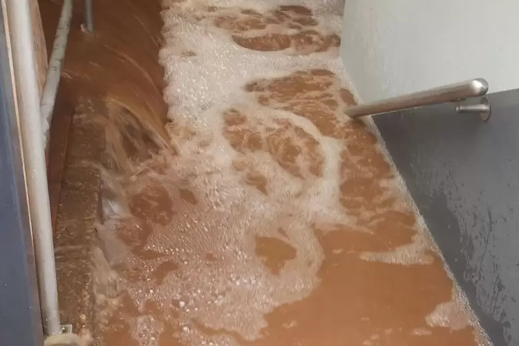 Ein Schock f&uuml;r jeden Hausbesitzer: Wasser im Keller. 
