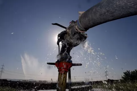 Etwa 13.500 Hektar Ackerfläche in der Vorderpfalz werden mit Oberflächenwasser aus dem Otterstadter Altrhein bewässert. 