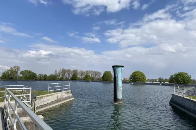Wenn das Becken bei Hochdorf-Assenheim sich f&uuml;llt, sprudelt aus der Tulpe das Wasser. Meistens geschieht das so um die Mittagsze