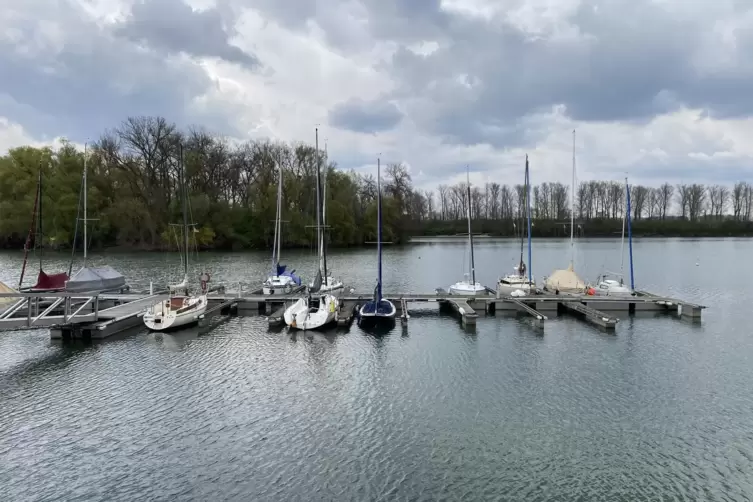 Da kommt all das Wasser her: der Otterstadter Altrhein. 