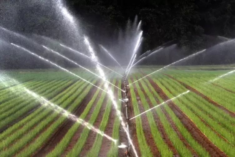 Verwenden Landwirte zu viel Wasser? Naturschutzverb&auml;nde und Forscher &uuml;ben Kritik. 