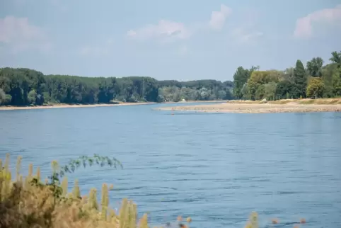 Der Mann war bei Maximiliansau gekentert (Symbolbild).