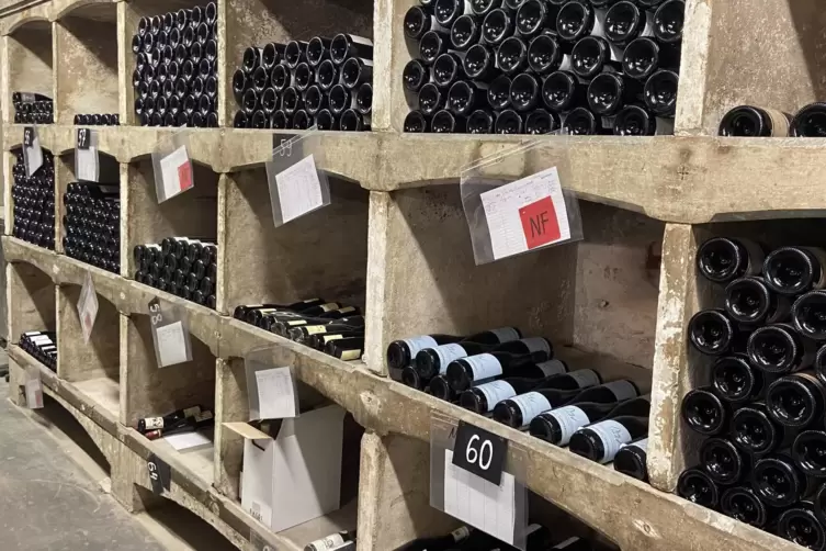 Gut bestückt: 40.000 Liter Wein lagern im Keller der Pfälzer Weinstube in München. 