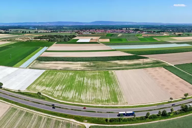 Sind laut einer Studie für Windräder geeignet: die Flächen zwischen der B9 (im Vordergrund) und der Sandgrube Heberger (links in