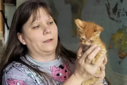 Kürzlich hat Jenni Bearce diese fünf Wochen alte Katze aufgenommn. Mit drei weiteren Frauen betreibt die 43-Jährige eine Streune