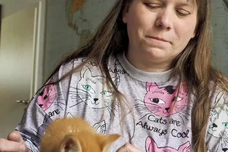 katzenjennibearce2