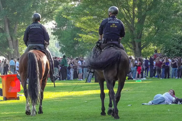 Frieden auf der Heidelberger Neckarwiese – zumindest am Freitagnachmittag. 