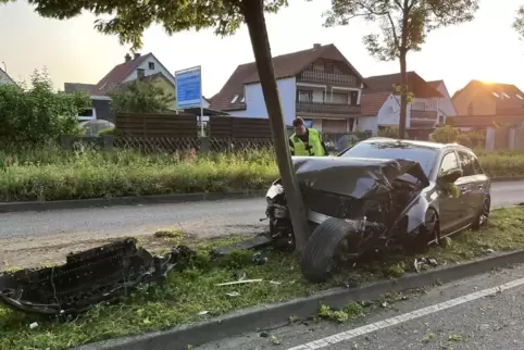 Der Fahrer kam ins Krankenhaus. Zwei Bäume mussten gefällt werden. 