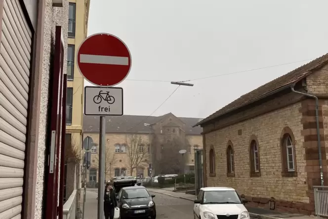 In Landau gibt es bereits mehrere Straßen, in denen Radler gegen die Richtung fahren dürfen, hier die Reduitstraße.