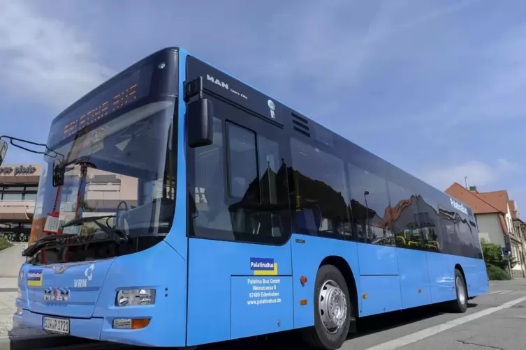 Bequem mit dem Bus in die Domstadt: Altriper können direkt fahren. 