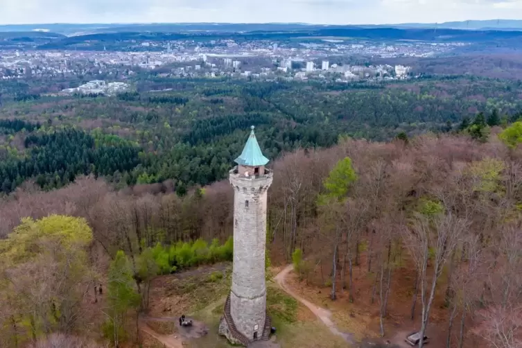 In einem Waldstück nahe des Humbergturms hat eine Spaziergängerin eine grausige Entdeckung gemacht. 