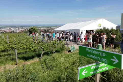Weingenuss und spektakuläre Aussicht: Die Höllenpfad-Weinwanderung punktet auch mit landschaftlichen Reizen. 