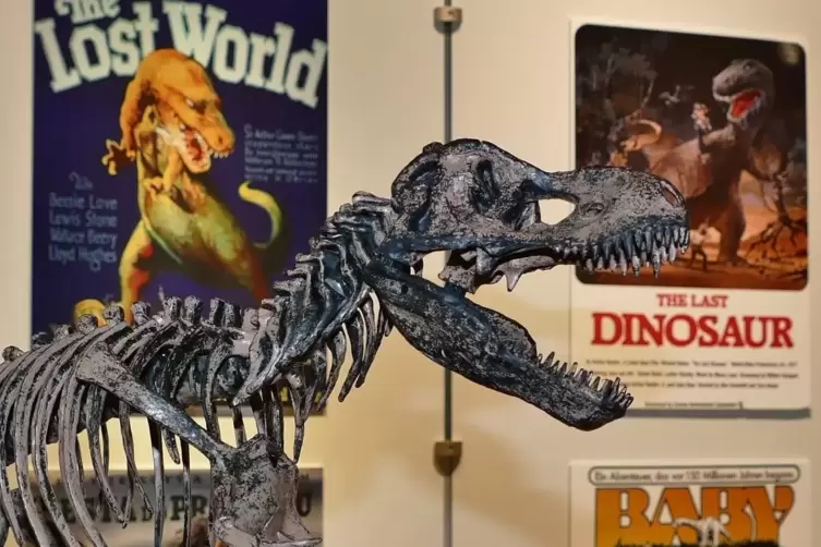 Den Tyrannosaurus können Besucher zusammensetzen.