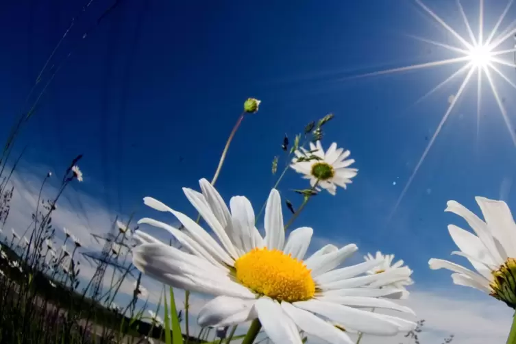 Blauer Himmel und Sonnenschein. 