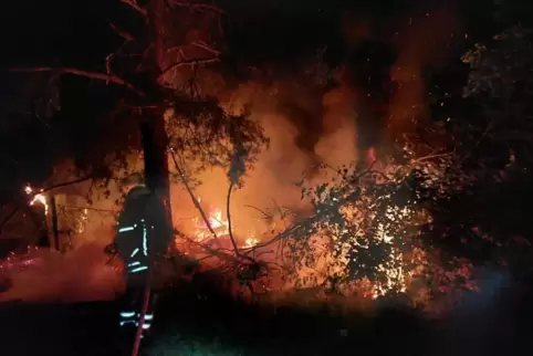 Buschwerk in Flammen. 