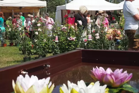 70 Aussteller boten Dinge rund um den Garten an.