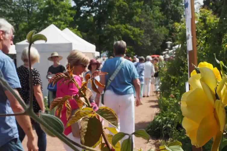 70 Aussteller boten Dinge rund um den Garten an.