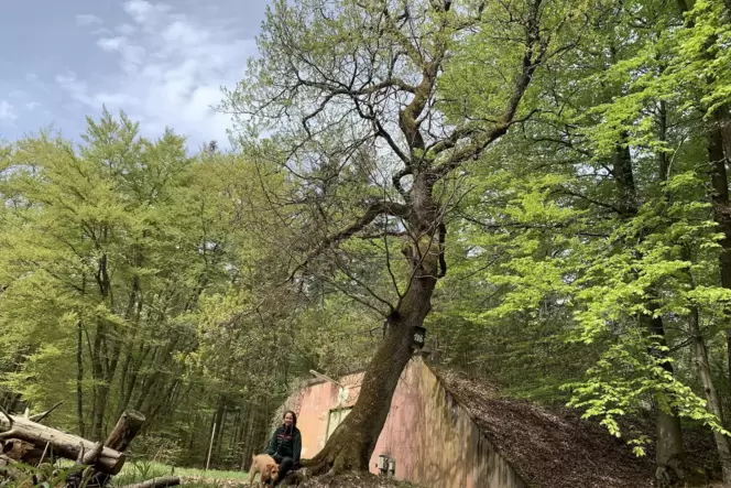 Försterin Franziska Herbig sitzt mit ihrer Hündin Ronja vor einem der so typischen Bunker, von denen es zahlreiche in ihrem Revi