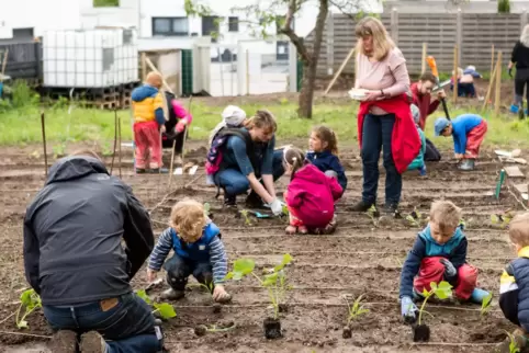 Mit Feuereifer dabei: Kinder, Eltern und Erzieherinnen bei der Pflanzaktion im Mai.